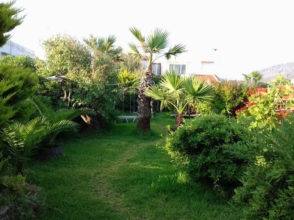 Georgia Seaside Villa Херсониссос Экстерьер фото
