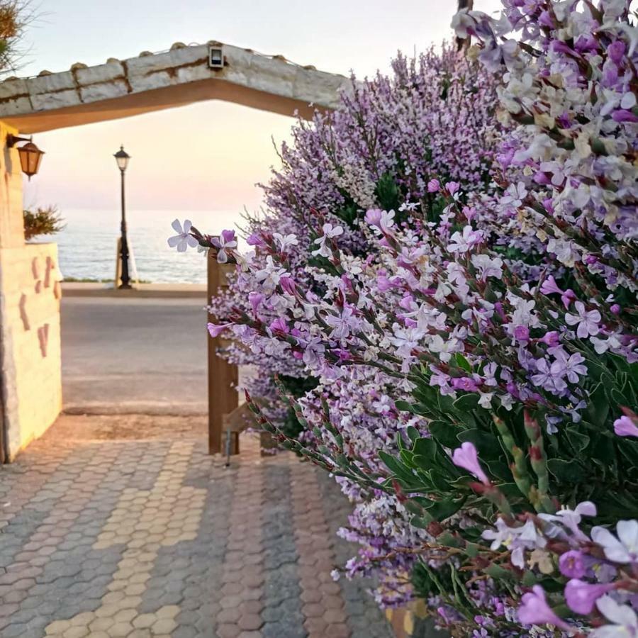 Georgia Seaside Villa Херсониссос Экстерьер фото